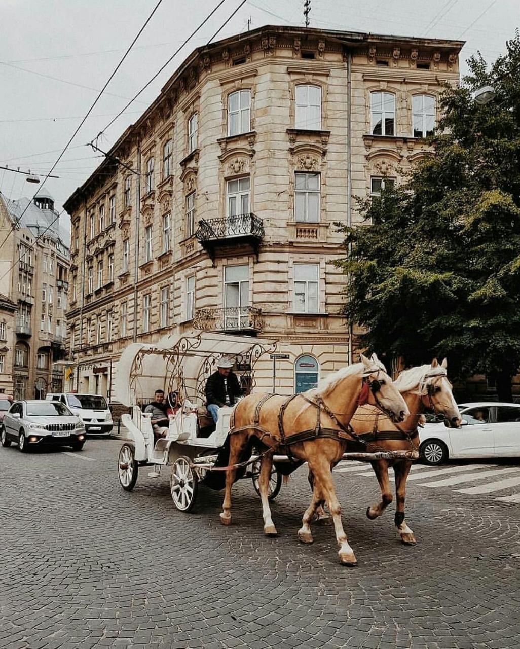 Staroevreyskaapart Lviv Exterior foto